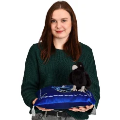 Harry Potter - Ravenklauw Wapenschild Kussen met Pluche Figuur