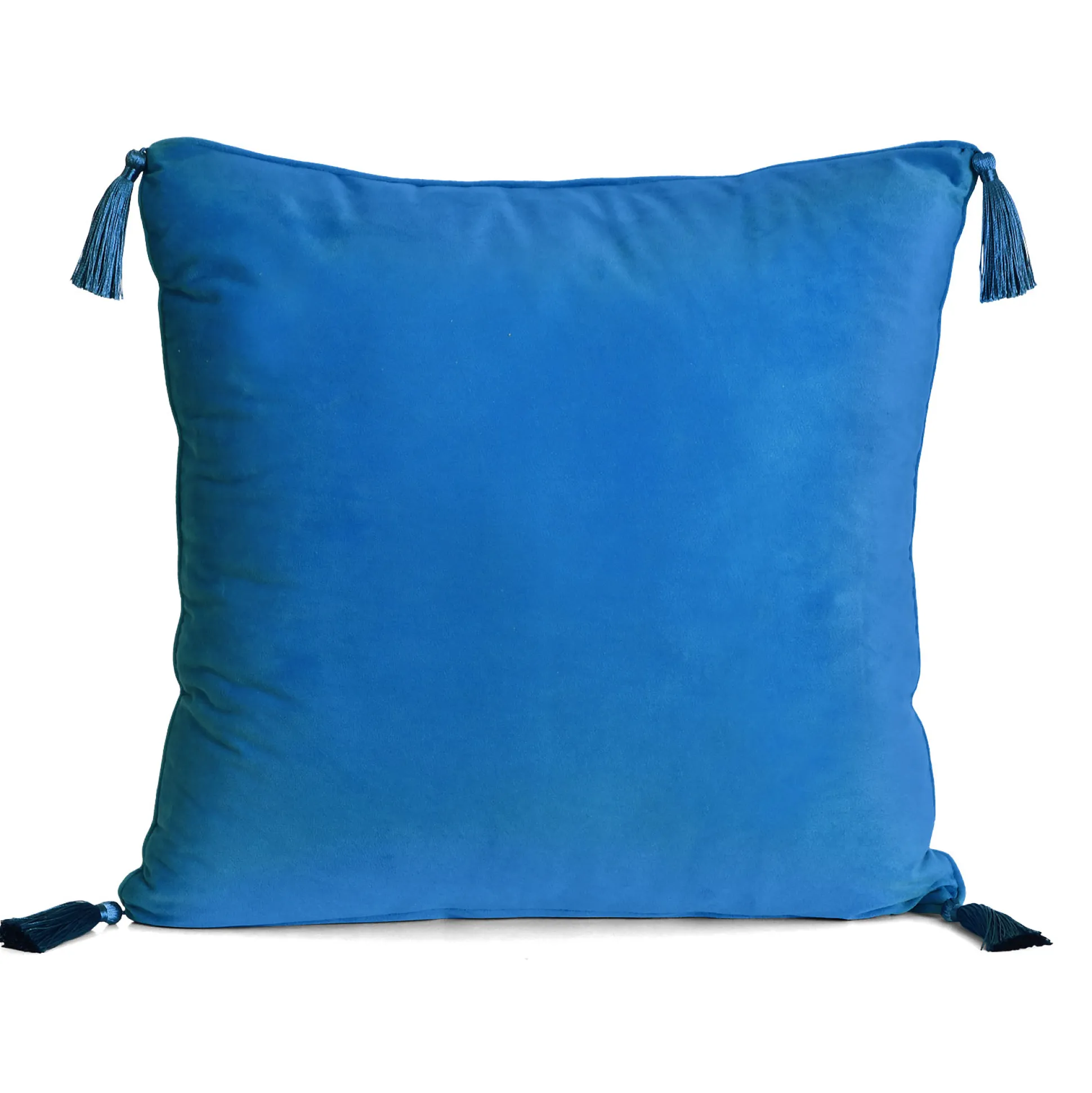 Harry Potter - Ravenklauw Deluxe Kussen met Kwasten