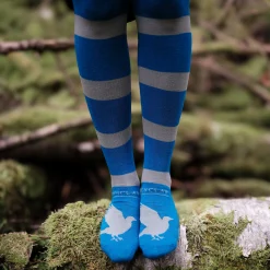 Harry Potter - Ravenklauw Overknee Sokken 2-Pack