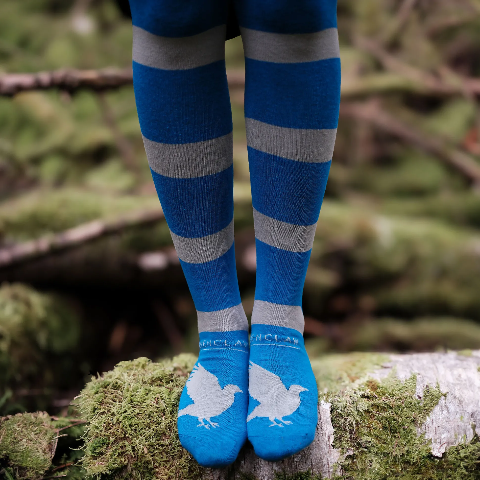 Harry Potter - Ravenklauw Overknee Sokken 2-Pack