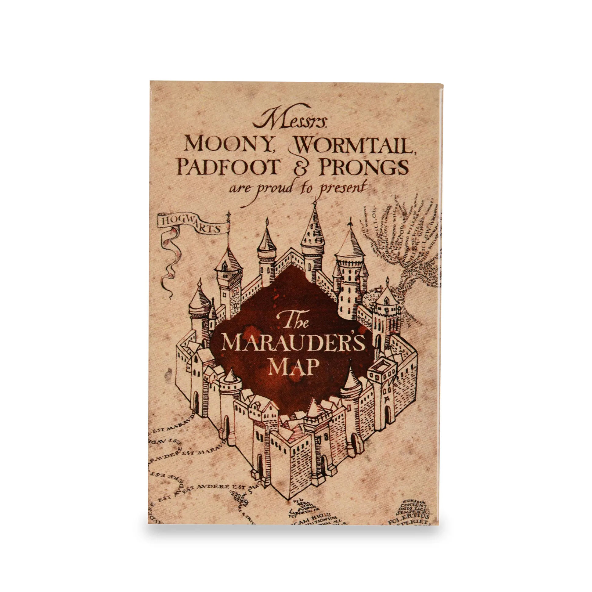 Harry Potter - Sluipwegwijzer Magneet