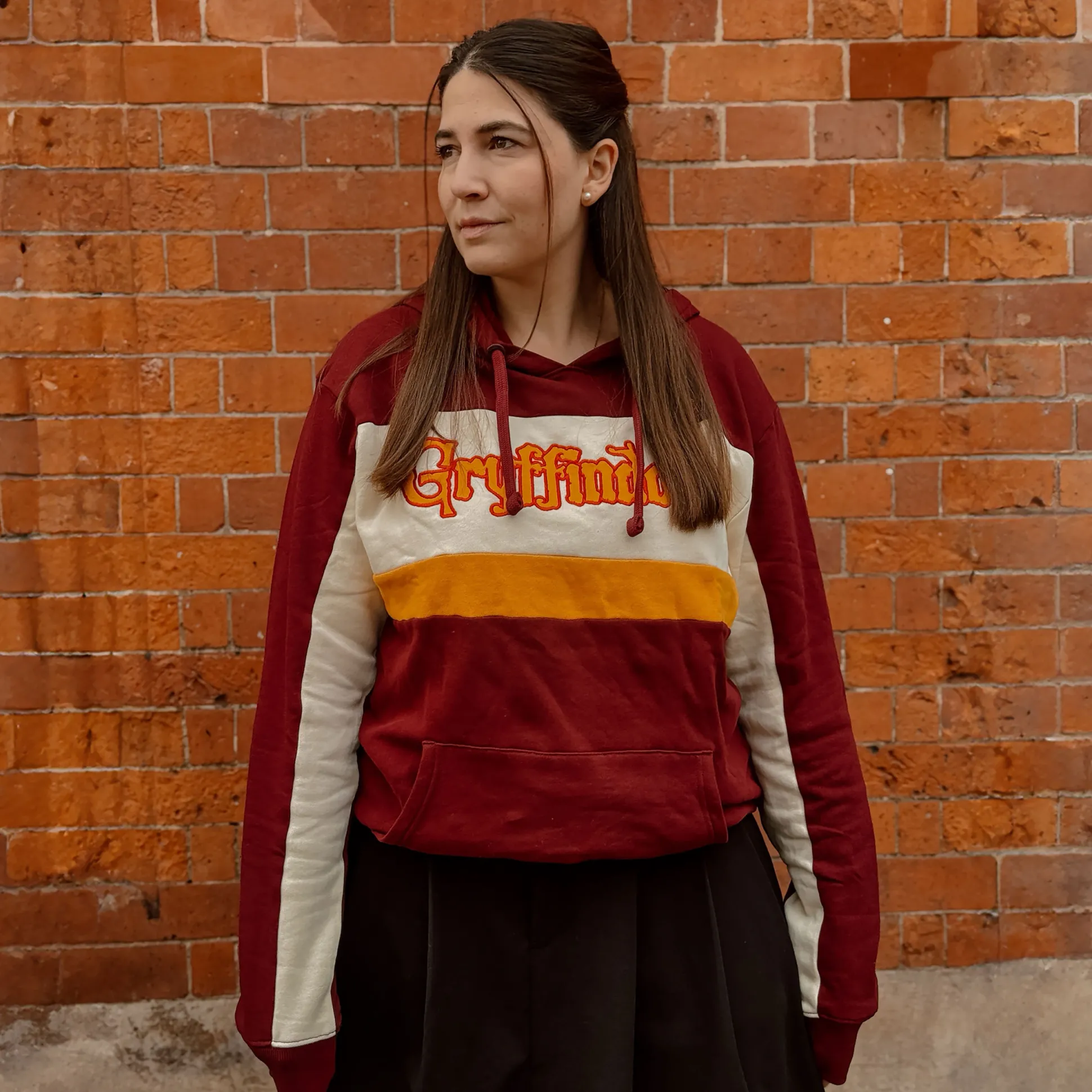 Harry Potter - Team Gryffindor Block Hoodie