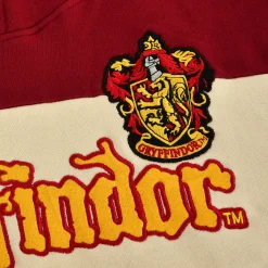 Harry Potter - Team Gryffindor Block Hoodie