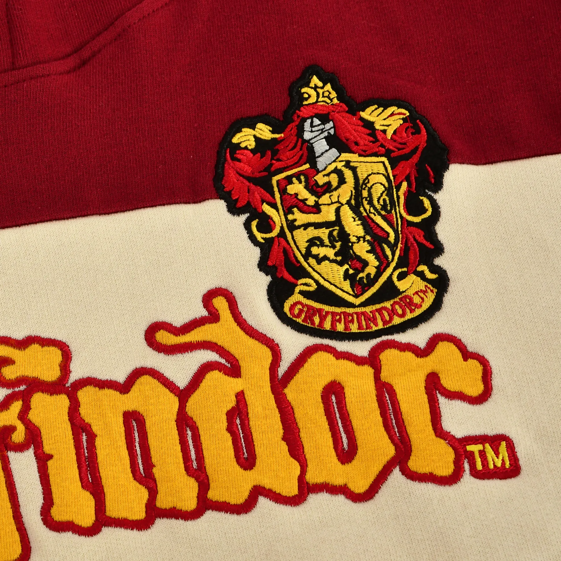 Harry Potter - Team Gryffindor Block Hoodie
