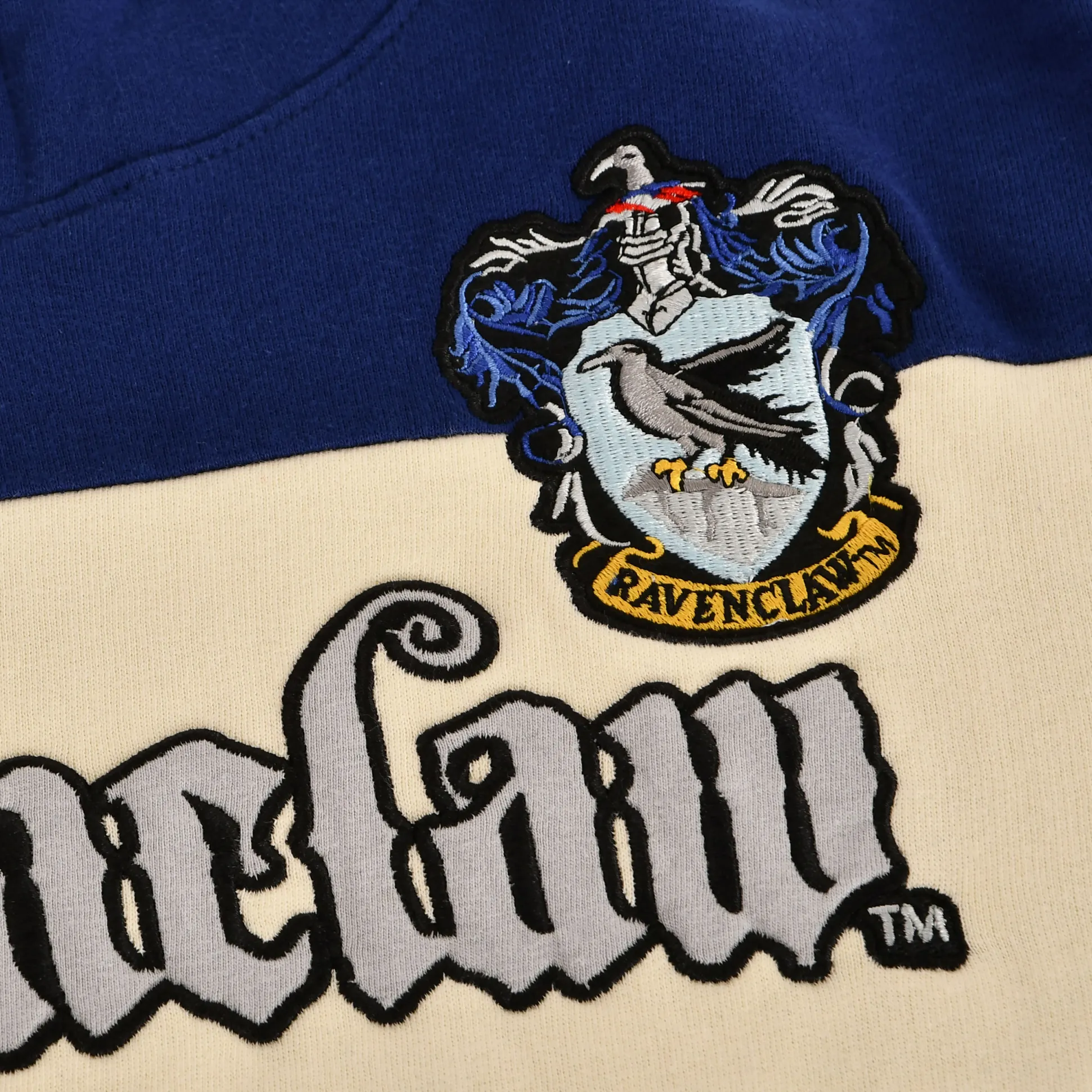 Harry Potter - Team Ravenclaw Block Hoodie