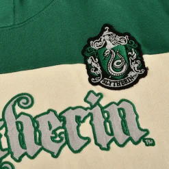 Harry Potter - Team Zwadderich Block Hoodie