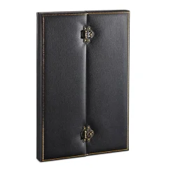 Harry Potter - Vervloekte opalen ketting replica