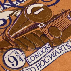 Harry Potter - Zweinsteinexpres kussen