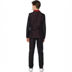 Harry Potter - Zwerkbal (Gryffindor) kostuumpak voor kinderen