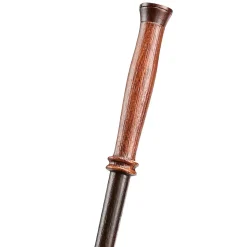 Harry's Eerste Toverstaf - Harry Potter First Wands Collection