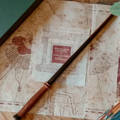 Harry's Eerste Toverstaf - Harry Potter First Wands Collection