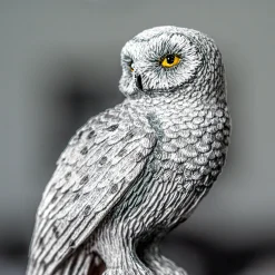 Hedwig Beeld - Harry Potter