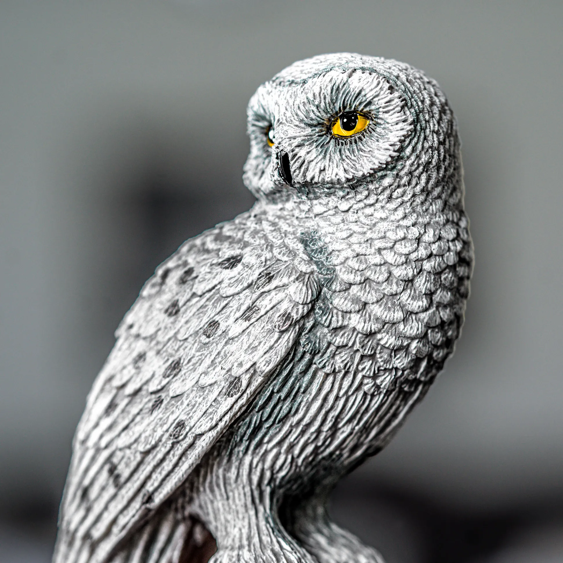 Hedwig Beeld - Harry Potter