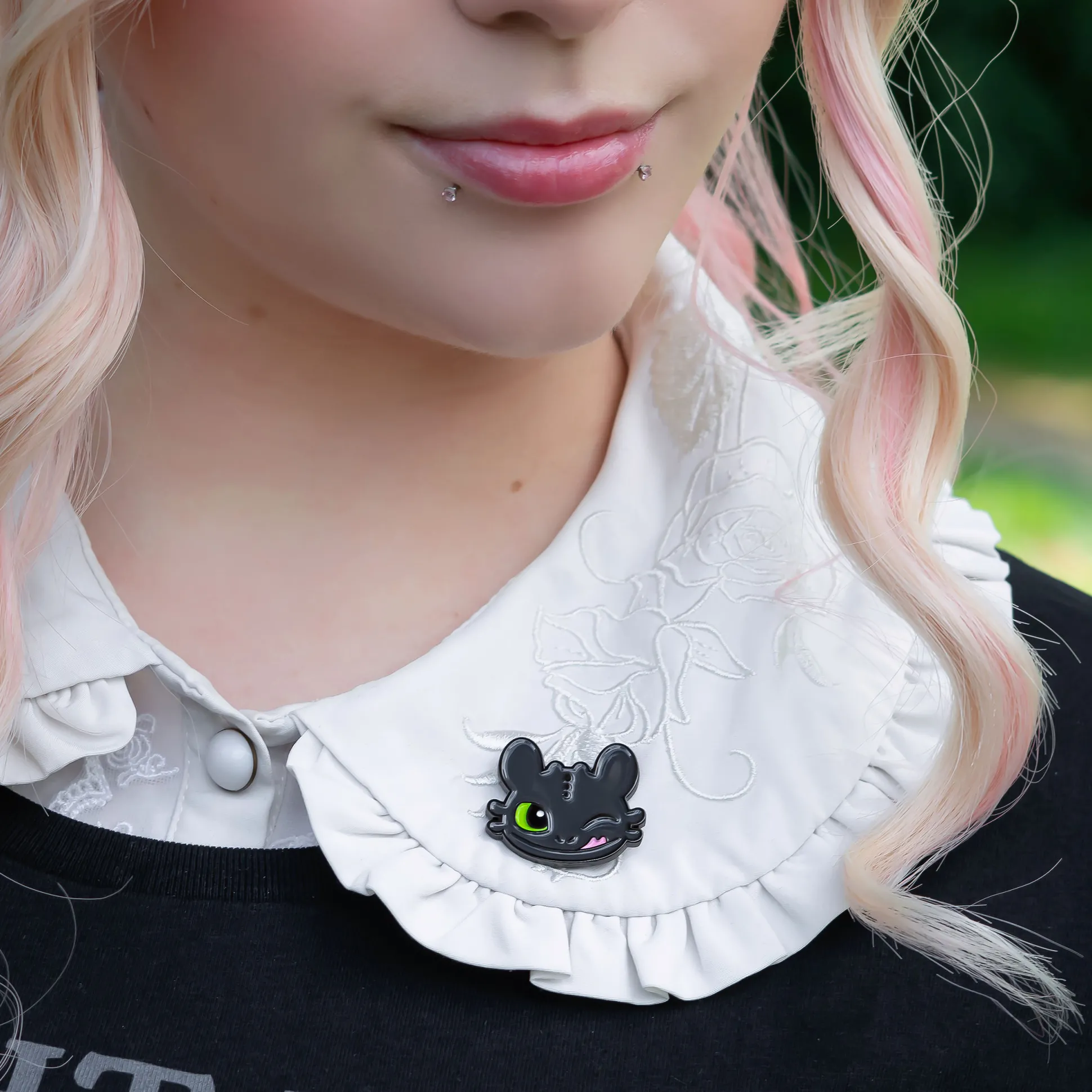 Hoe Tem Je Een Draak - Tandloos Pins 5-Delige Set