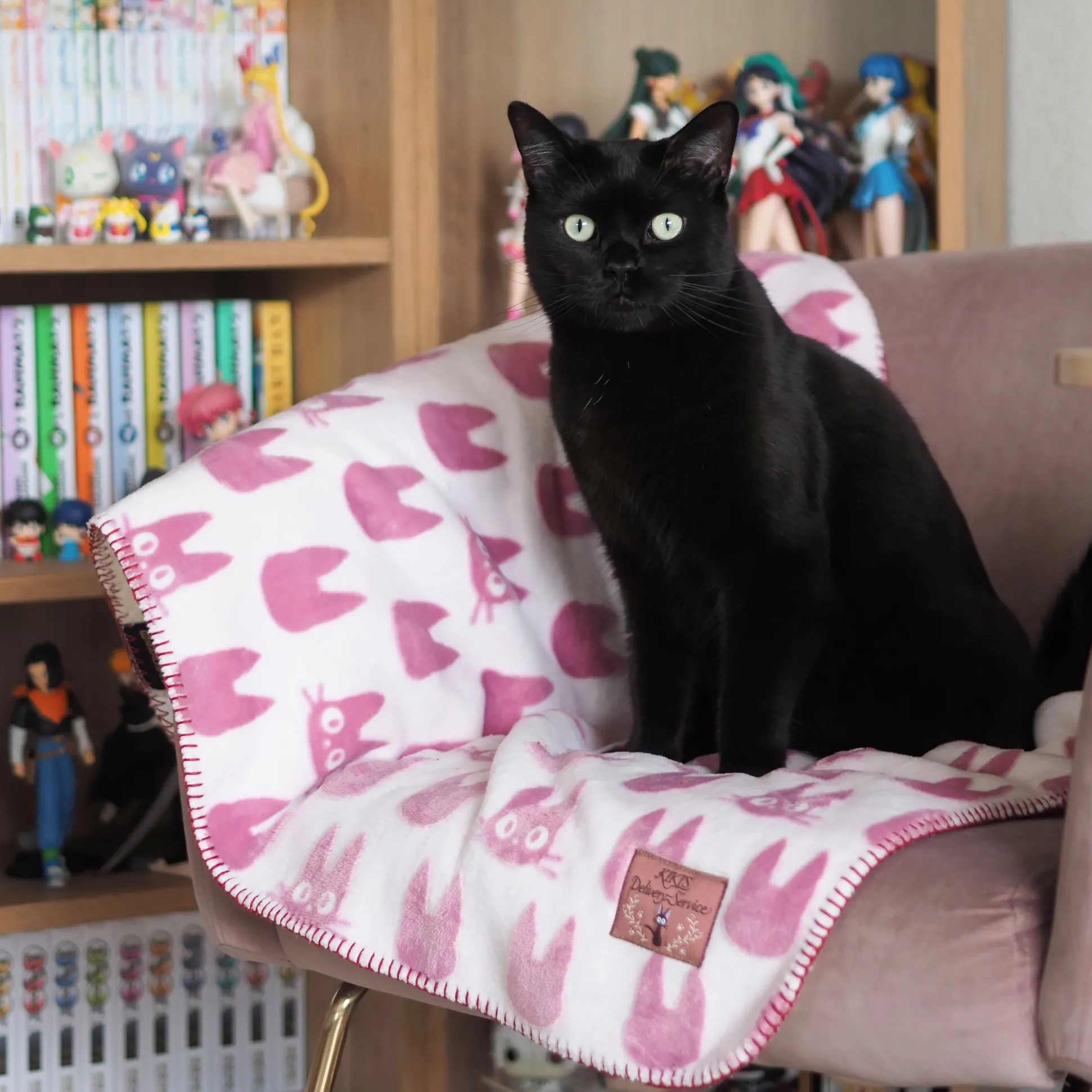 Kiki’s Delivery Service - Jiji Silhouet Fleece deken met Teddyvoering