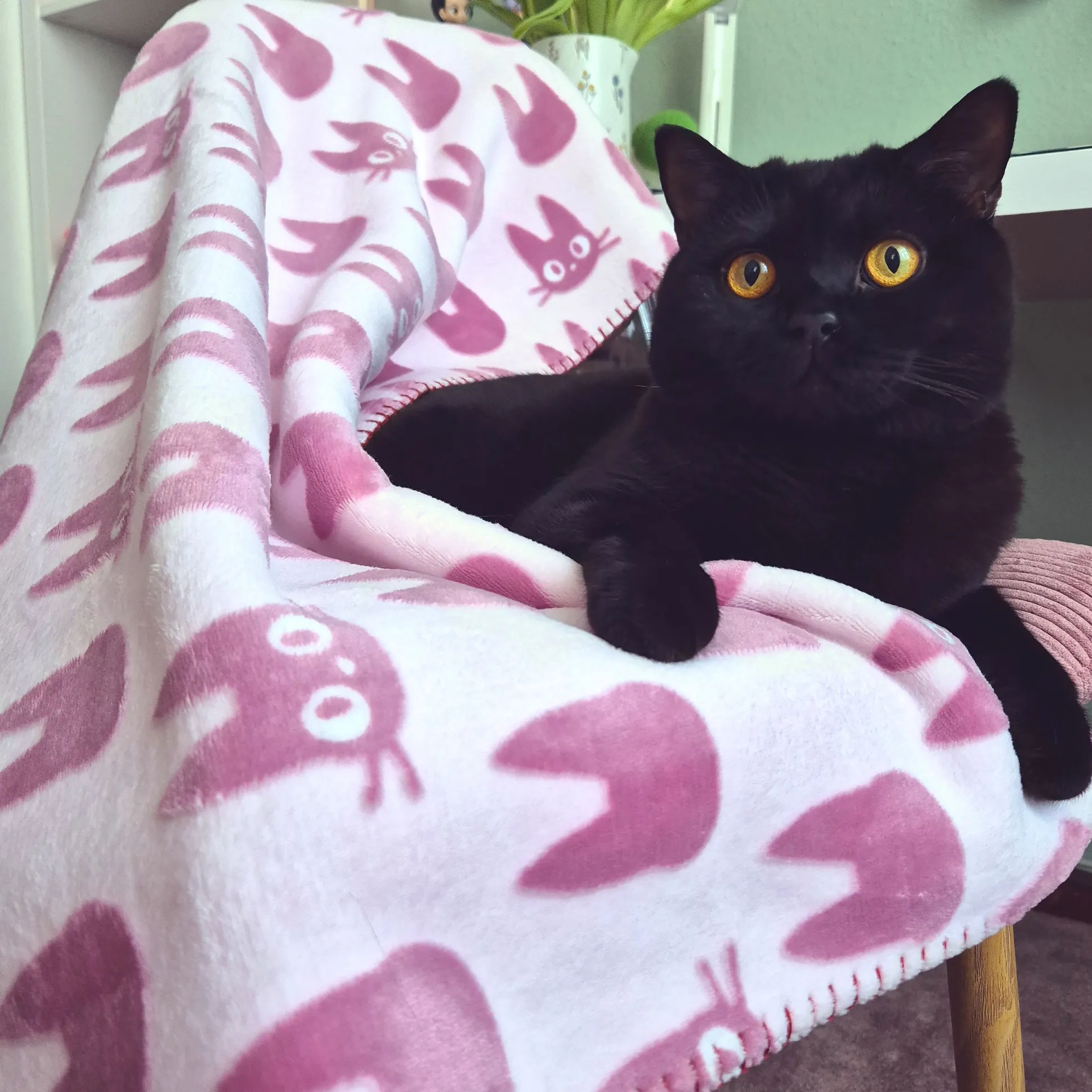 Kiki’s Delivery Service - Jiji Silhouet Fleece deken met Teddyvoering