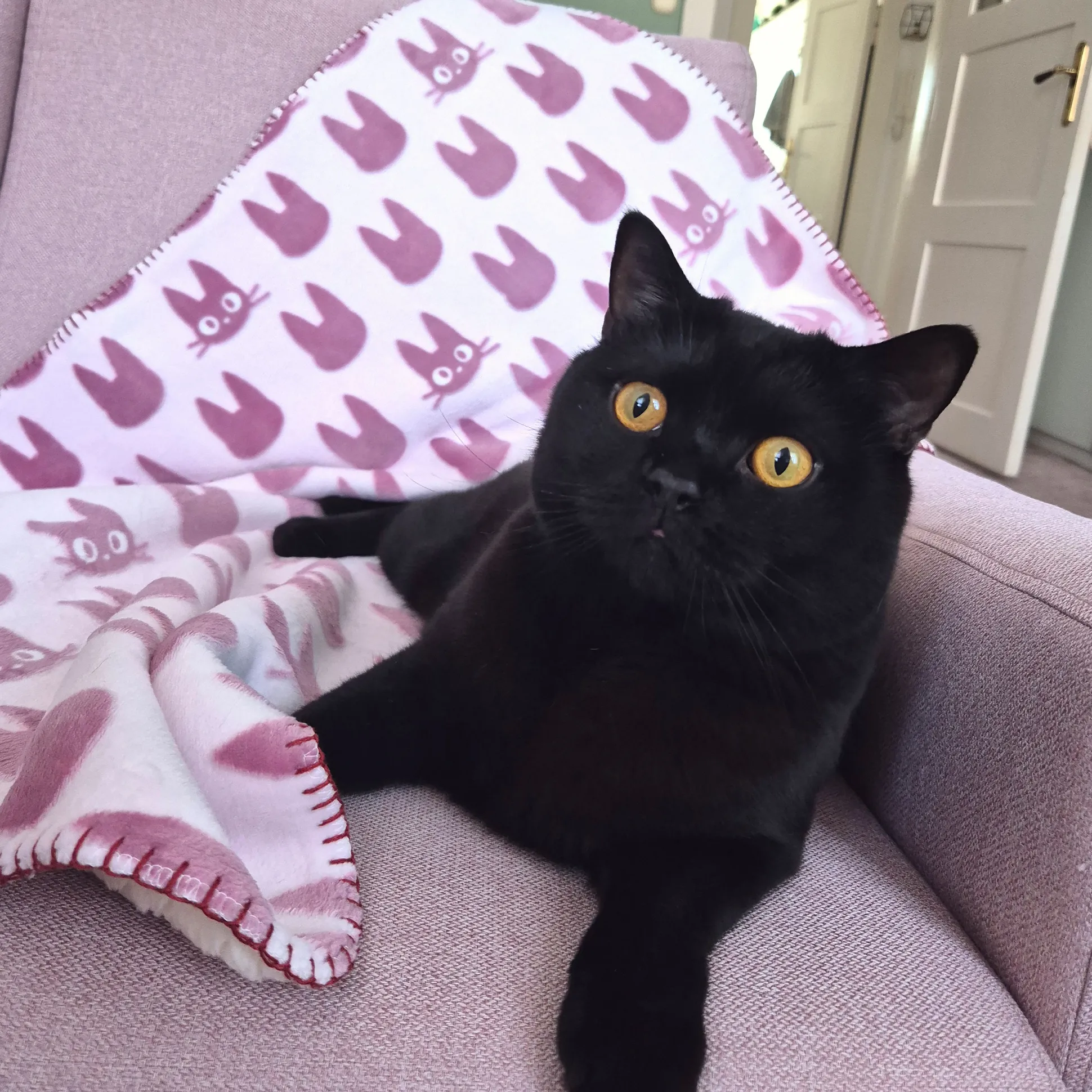 Kiki’s Delivery Service - Jiji Silhouet Fleece deken met Teddyvoering