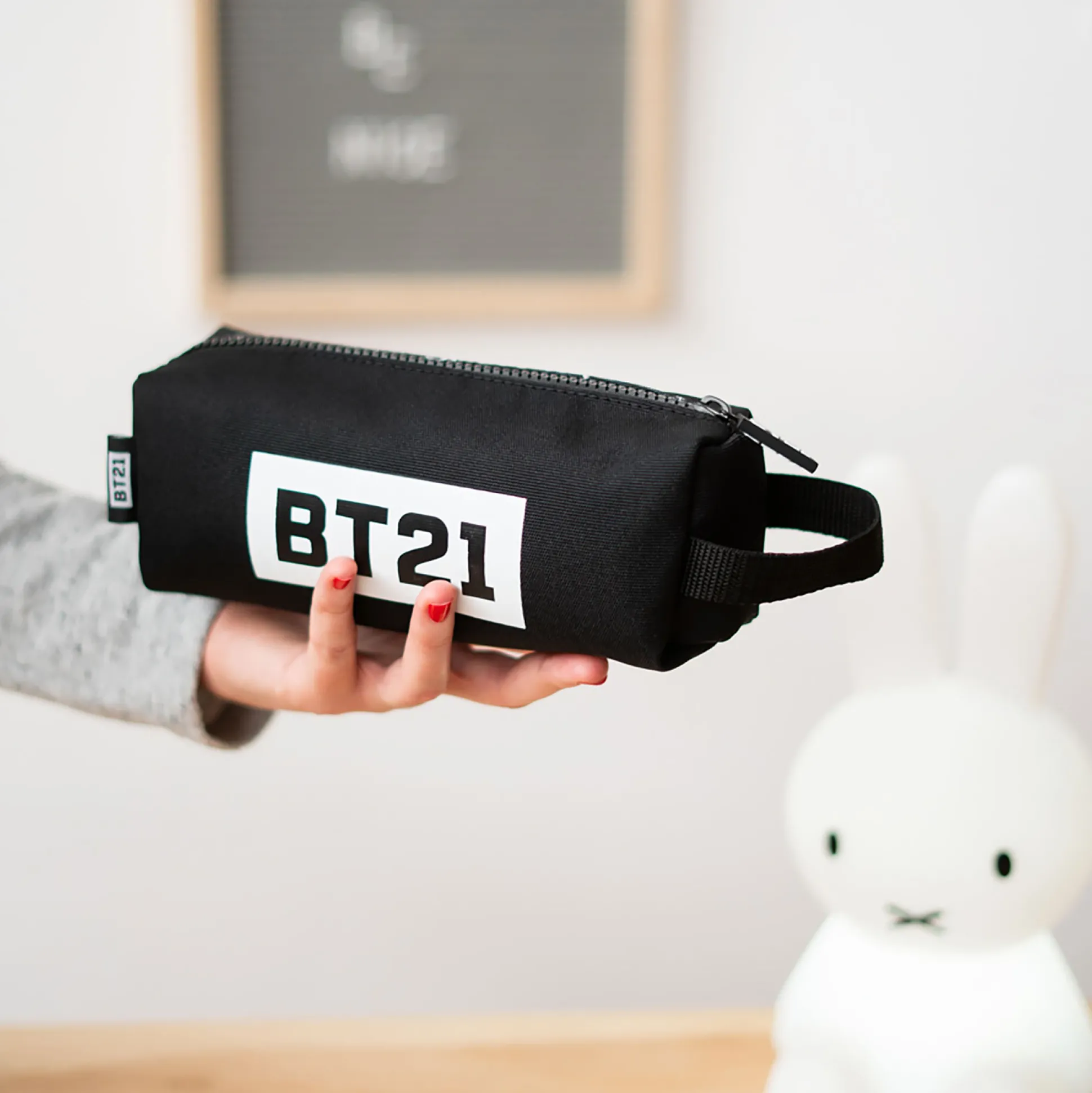 Line Friends - BT21 Etui