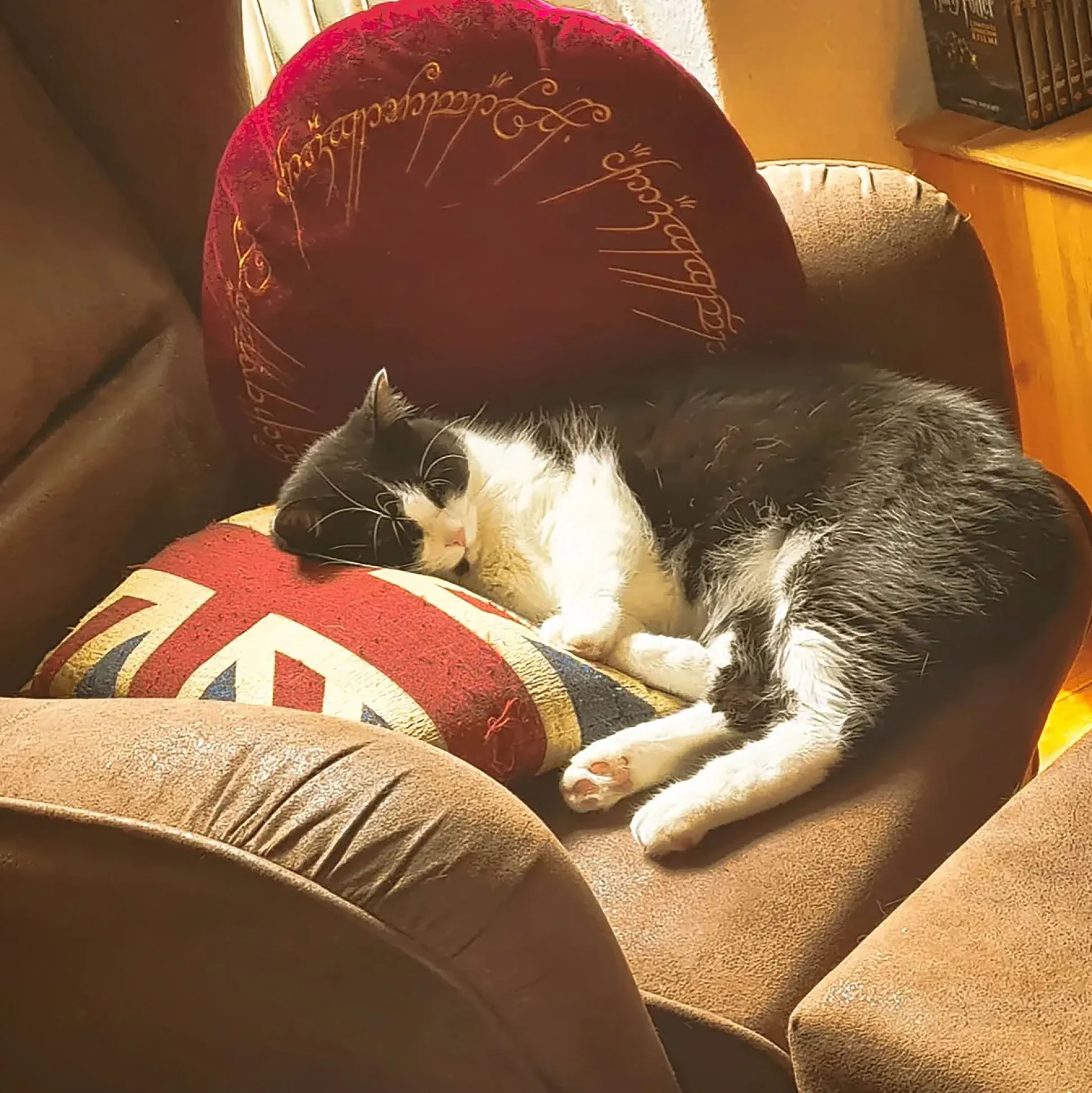 Lord of the Rings - Het ene kussen