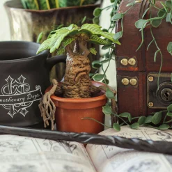 Mandragora - Harry Potter Magische Wezens Figuur