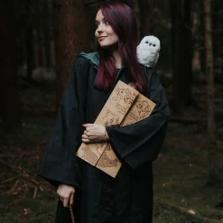 Marauder's Map - Harry Potter