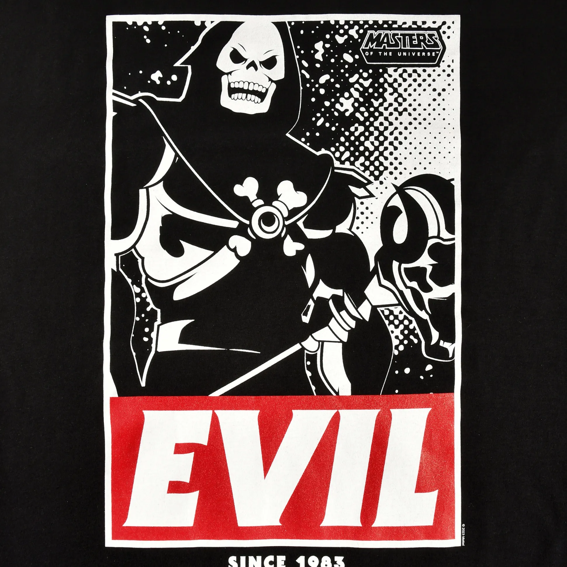Masters of The Universe - Evil T-Shirt zwart