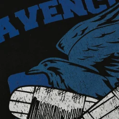 Ravenclaw Quidditch College T-shirt Zwart - Harry Potter