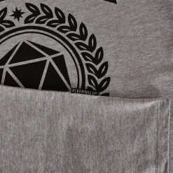 Roleplay Academy T-Shirt grijs