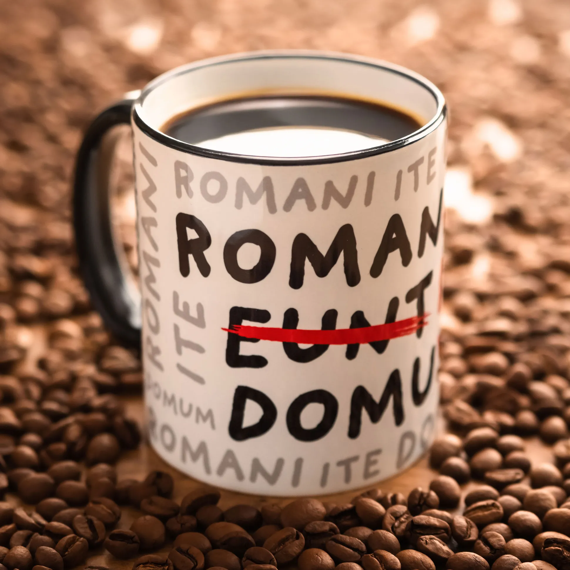 Romani Ite Domum mok voor Monty Python fans