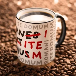 Romani Ite Domum mok voor Monty Python fans