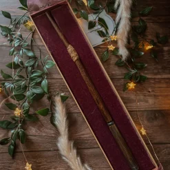 Ron Wemels Eerste Toverstok - Harry Potter First Wands Collection