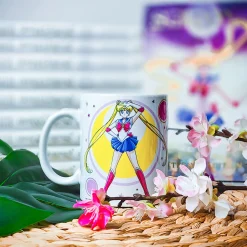 Sailor Moon vs Black Lady Mok