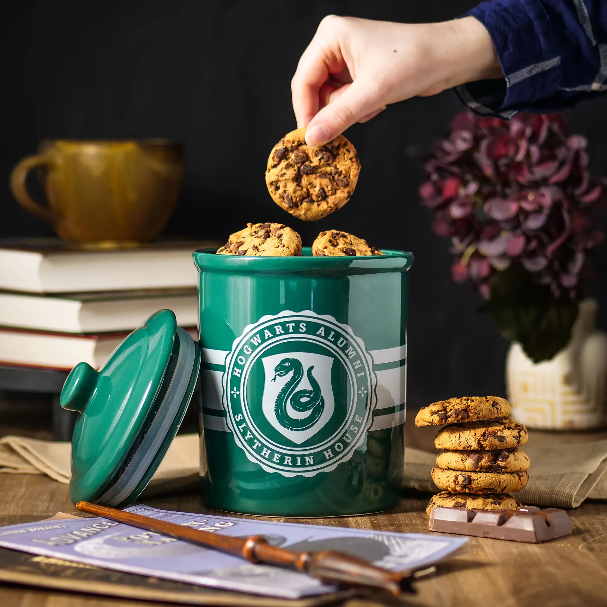 Slytherin Hogwarts Alumni Koekjestrommel - Harry Potter