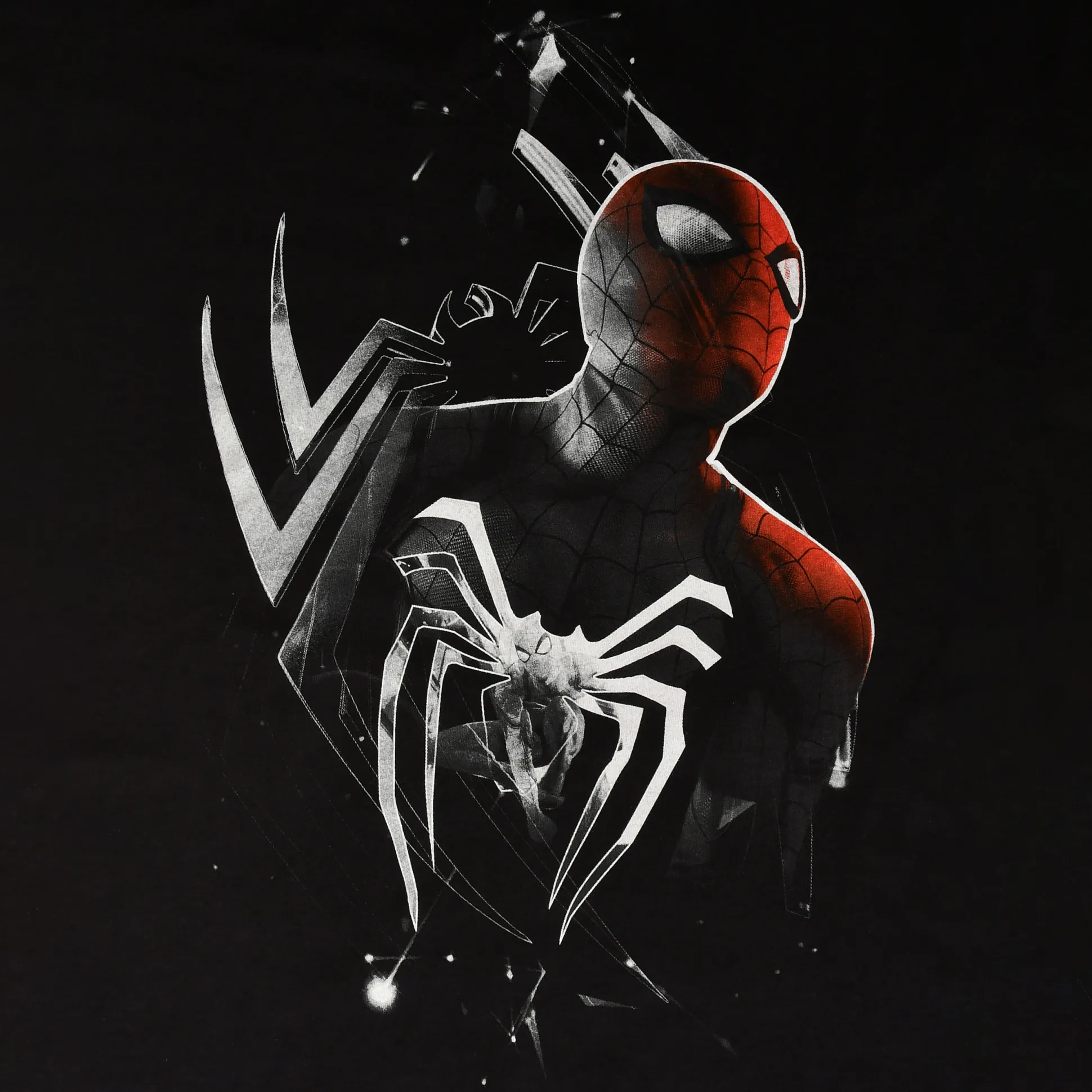 Spider-Man - Dimension T-Shirt Zwart