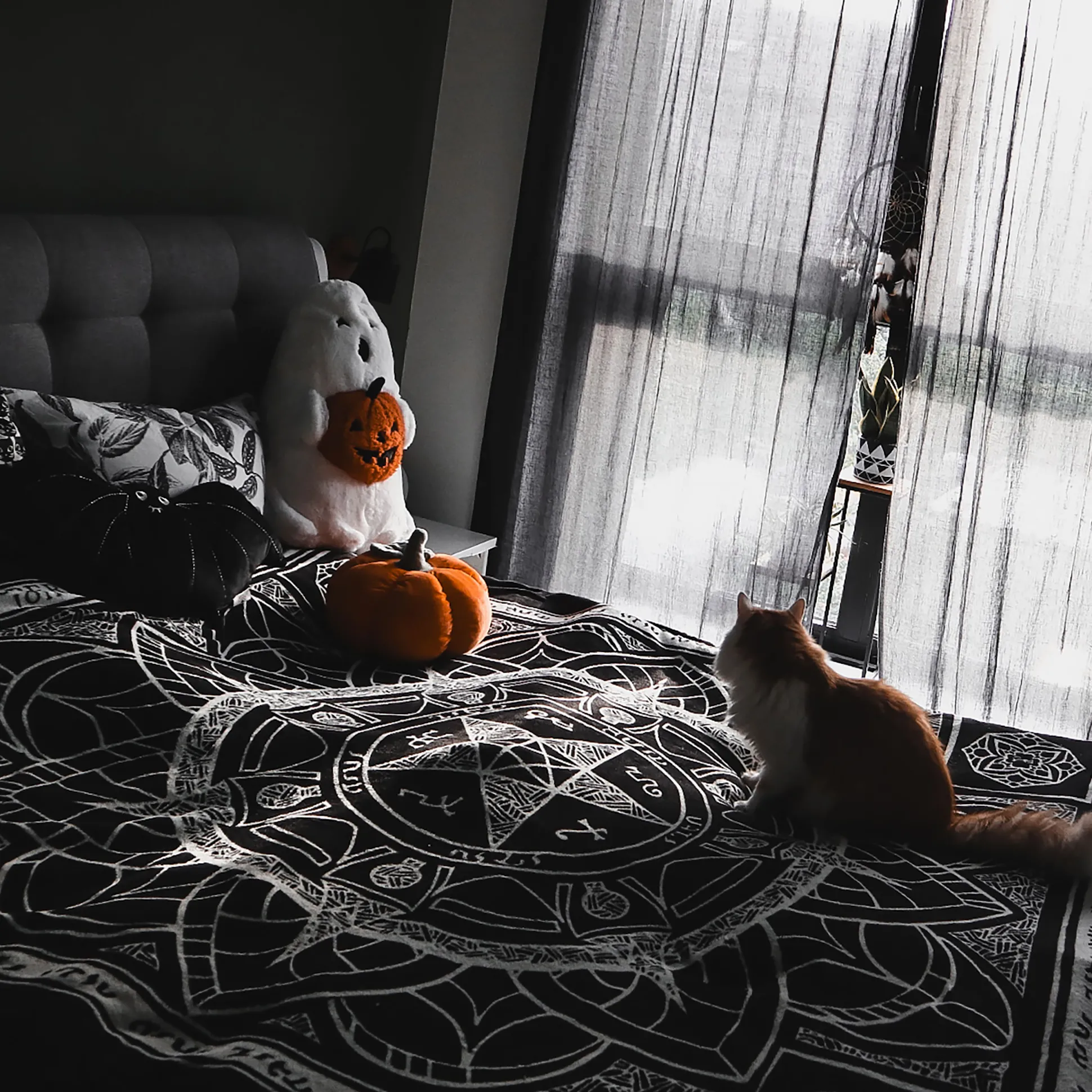 Supernatural - Duivelsval Vliesdeken