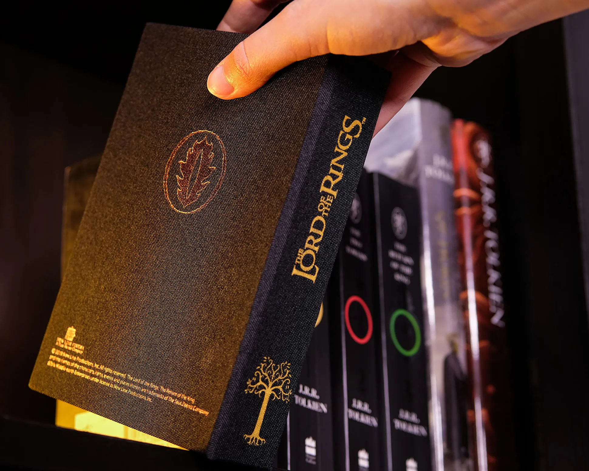 The Lord of the Rings - De Ene Ring aan een roestvrijstalen ketting