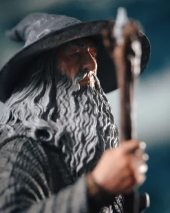 The Lord of the Rings - Gandalf de Grijze figuur