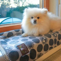 Totoro - Zwarte Pluismonster Deken