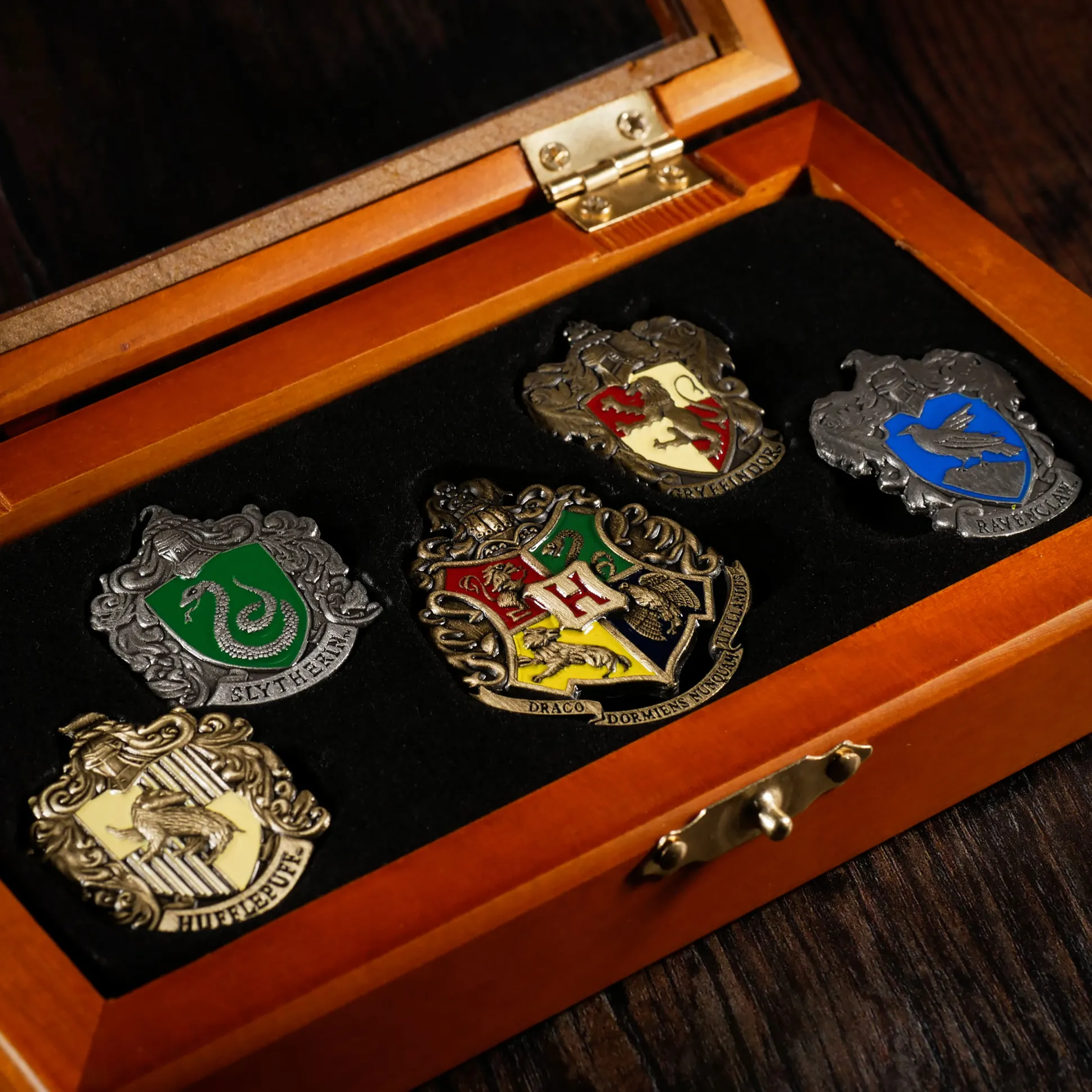 Zweinstein Huizen - Pins