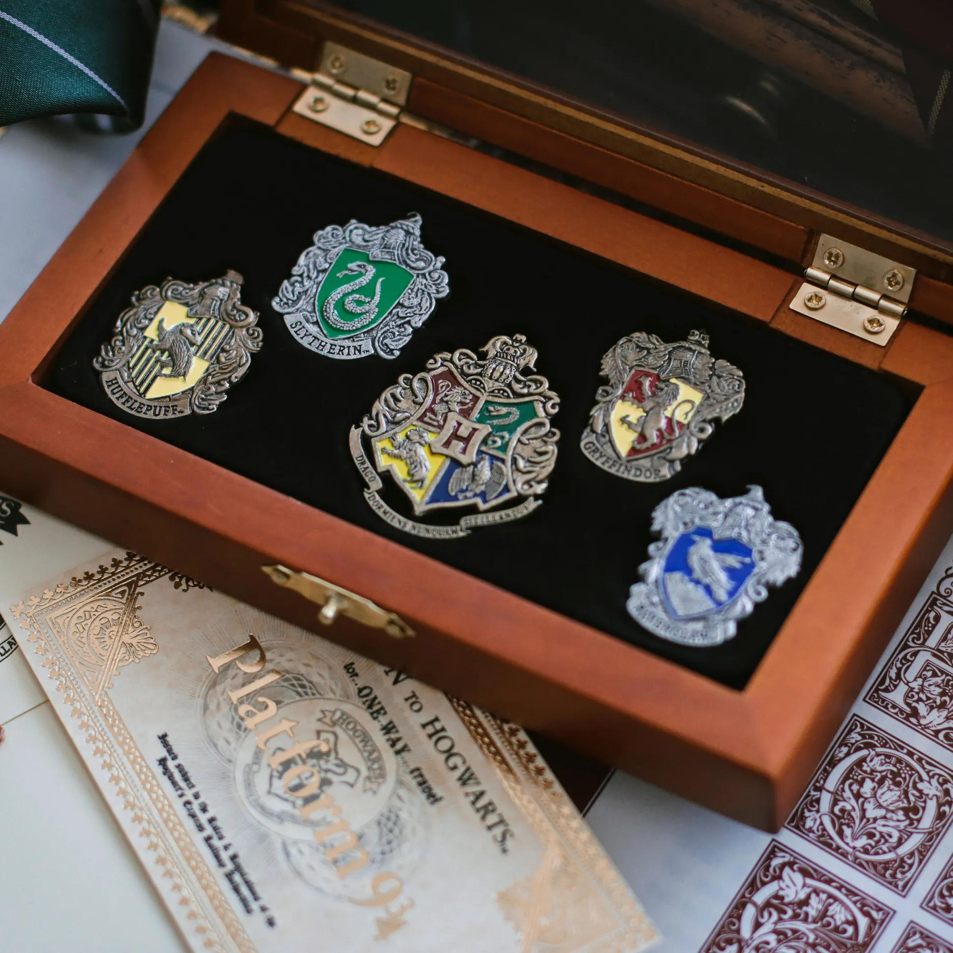 Zweinstein Huizen - Pins